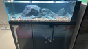 老漁匠原生溪流缸魚缸一體柜全套造景客廳家居家用生態(tài)底濾超白玻璃定制 玄武黑-旗艦版【光影魚缸燈】 120x50x135cm 曬單實(shí)拍圖