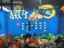 森森專(zhuān)用HQJ-500G-1000B 頂上過(guò)濾龍魚(yú)缸增氧抽水潛水泵三合一抽水淋雨增氧 HQJ-1000B全套管件+一米棉 曬單實(shí)拍圖
