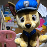 汪汪隊立大功（PAW PATROL）汪汪隊毛絨玩具狗狗天天玩偶公仔娃娃擺件男女孩生日禮物 經(jīng)典款-阿奇公仔【需選尺寸】 中號-坐高22.9CM 曬單實拍圖