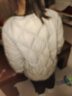 鴨鴨兒童羽絨服輕薄內(nèi)搭男女童秋冬季新款內(nèi)膽保暖中大童裝外套KX 米白 150 曬單實(shí)拍圖