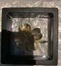UHFR老鳳凰金店款四葉草胸針高檔女綠色感胸花氣質(zhì)西裝別針新款配飾送 祖母綠幸運(yùn)四葉草胸針 曬單實(shí)拍圖