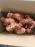 澤鮮達南姜潮汕新鮮野生山姜牛羊肉火鍋鹵味去膻提味調料南姜整箱 1斤 優(yōu)選裝 曬單實(shí)拍圖