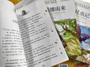 簡(jiǎn)愛和儒林外史九年級(jí)必讀正版名著吳敬梓原著完整版初三上冊(cè)下冊(cè)的課外書初中課外閱讀書籍九上下配套人教書目唐詩三百首全集外傳 【2冊(cè)】簡(jiǎn)愛+儒林外史 曬單實(shí)拍圖
