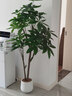未歐發(fā)財樹仿真綠植高端輕奢室內(nèi)盆栽假花客廳裝飾樹落地擺件仿生植物 1.6米恭喜發(fā)財【+白色圓盆】 曬單實拍圖
