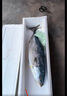 綠之邦（Luzhibang） 鲅魚禮盒海鮮魚類生鮮海魚片年貨海鮮大鲅魚整條深海水產品送禮 黃金鲅魚禮盒A 凈重6-7.9公斤 曬單實拍圖