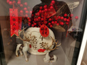 赟婭新中式福鹿招財創(chuàng)意擺件玄關(guān)客廳酒柜家居裝飾品喬遷之喜搬家禮物 平安喜樂花瓶+紅果杏葉+對鹿 曬單實拍圖