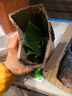 綠有意金鉆盆栽植物水培綠植花卉多肉辦公室內(nèi)去吸除甲醛鉑金鉆綠公主 【2盆】金鉆25cm3棵(原土盆) 含盆 曬單實(shí)拍圖