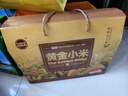 朝陽(yáng)神鷹東北小米朝陽(yáng)小黃米朱碌科黃金苗雜糧小米遼寧黃小米新米寶寶輔食 黃金小米禮盒裝380g*10包 曬單實(shí)拍圖