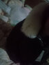 波司登短款羽絨服女寬松百搭狐貍毛領冬季外套B40145186 165/88A 曬單實拍圖