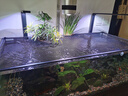 BESSN魚(yú)缸防跳網(wǎng)磁吸魚(yú)缸蓋罩網(wǎng)魚(yú)缸防跳蓋魚(yú)缸防逃網(wǎng)溪流缸雷龍防跳網(wǎng) 120x60黑邊黑網(wǎng)【質(zhì)標1.5倍拉伸率】 曬單實(shí)拍圖