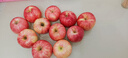 曠古農業(yè)遼寧營(yíng)口喬納金蘋(píng)果新鮮粉面刮泥蘋(píng)果香甜可口當季水果整箱 2.25kg大果10-12個(gè)左右 曬單實(shí)拍圖