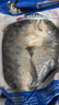 往牧叉尾鮰魚 三去開背 青江魚烤魚  腌制半成品 冷凍生鮮 江團魚 1.2-1.4斤*5條 曬單實拍圖