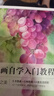 水彩畫自學(xué)入門教程（零基礎(chǔ)學(xué)水彩，發(fā)現(xiàn)生活之美） 曬單實拍圖