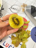 桃李村新西蘭奇異果陽(yáng)光金果特大果黃心獼猴桃禮盒 18顆大果單果約90-110g 禮盒裝 曬單實(shí)拍圖