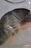 【順豐】東北冷水三道鱗魚(yú)大鯉魚(yú)整條鮮活速凍無(wú)磷鯉魚(yú)裸鯉框鏡魚(yú) 【順豐速運】 3斤【去鱗去肚損耗20%左右】 曬單實(shí)拍圖