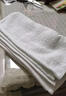 米囹酒店飯店擦手巾酒店賓館會(huì )所專(zhuān)用白色小方巾純棉全棉航空小毛巾擦 40克優(yōu)質(zhì)棉30*30cm方巾 1條 曬單實(shí)拍圖