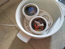 班貝特BAMBETEL德國品牌陶瓷隔水燉鍋多功能電燉盅家用嬰兒寶寶輔食鍋 陶瓷2.5L燉鍋 大燉盅+3小膽 24cm 曬單實(shí)拍圖