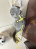 TOUCHDOG它它貓咪牽引繩遛貓繩胸背心式防掙脫工字幼貓鏈子溜貓繩 椰林海灘 S碼【5斤以?xún)?】繩長(cháng)1.2m 曬單實(shí)拍圖
