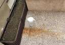 萊克多椰子油強力去污膏鍋底黑垢去除劑強力去污神器清潔拋光鍋底除垢劑 5瓶裝【買(mǎi)三贈二】 曬單實(shí)拍圖