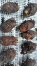 稀壤正宗廣西荔浦芋頭農(nóng)家現(xiàn)挖香芋大個粉糯紫藤毛芋新鮮蔬菜生鮮火鍋 9斤10-15個 曬單實拍圖
