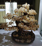 菲斯鉑亞客廳擺件高端大氣開(kāi)業(yè)擺件黃水晶發(fā)財(cái)樹(shù)工藝品招財(cái)轉(zhuǎn)運(yùn)前臺(tái)電視柜 天然黃水晶：【高60cm，寬50cm】 曬單實(shí)拍圖