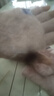毛絨手套女冬季保暖學(xué)生露指頭翻蓋手套戶外手套加厚防寒網(wǎng)紅爆款 粉色 曬單實(shí)拍圖