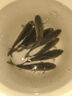 川澤一體成型夜光漂咬鉤變色高靈敏鯽魚(yú)漂醒目浮漂鰱鳙大物電子夜釣漂 升級款PL1-2(淺水草洞)吃鉛1.7g 咬鉤變色款 曬單實(shí)拍圖