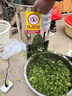 沃農(nóng)賽德 碎菜機(jī)碎草機(jī)喂雞鴨鵝豬養(yǎng)殖家用電動(dòng)瓜草蔬菜切菜機(jī)打菜機(jī) 全包圍機(jī)艙-純銅電機(jī)1600W送刀片 曬單實(shí)拍圖