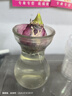 歐悟 進(jìn)口帶芽風(fēng)信子種球 室內(nèi)盆栽花卉綠植耐寒易活植物水培花卉球根 藍(lán)珍珠 單顆種球 單顆種球不含盆 曬單實拍圖