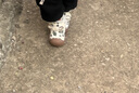 巴拉巴拉寶寶學(xué)步鞋男寶女寶加絨厚靴子2024秋冬高幫鞋子208424144106 曬單實(shí)拍圖