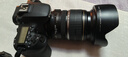 佳能/Canon EF-S 17-55mm f/2.8 IS USM 二手半畫幅標準變焦日常鏡頭 99新 曬單實拍圖