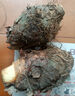 稀壤正宗廣西荔浦芋頭農(nóng)家現(xiàn)挖香芋大個粉糯紫藤毛芋新鮮蔬菜生鮮火鍋 9斤10-15個 曬單實拍圖