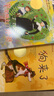 國際大獎小說(shuō)·注音版——狗來(lái)了  曬單實(shí)拍圖