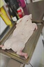 京戰(zhàn)新鮮現(xiàn)殺冷凍烤乳豬整只生豬脆皮豬酒店小耳脆皮烤乳豬小豬肉新鮮 精品整只乳豬（6-7）送腌料 曬單實拍圖