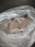 【順豐發(fā)貨】冷凍豬耳朵片豬耳尖豬耳朵商用肉帶根一只三到四兩 豬耳朵【6只】 曬單實(shí)拍圖