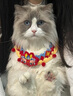 曇蓓漫貓咪新年圍脖貓項圈寵物飾品圍巾貓貓狗狗過(guò)年裝飾小貓編織圍兜 紅球-新年舞龍圍脖 M【建議8-15斤】綁帶調節 曬單實(shí)拍圖