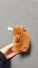 喏雅珘卡皮巴拉公仔水豚鼠布娃娃 禮物卡皮吧啦玩偶掛件毛絨玩具鑰匙扣 鼻涕抽拉款-12cm-棕 如圖 曬單實(shí)拍圖