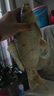 久巖主線盒大容量釣魚線組盒多功能子線盒垂釣用品配件魚線收納盒 【黃色】四軸-主線盒 曬單實拍圖