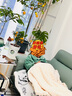 芬騰兒童睡衣男童防靜電秋冬加厚雙面絨保暖大童家居服Q9FJ257940359 曬單實拍圖