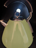 摩飛電器（Morphyrichards）電熱水壺藝術(shù)水壺 家用燒水壺 不銹鋼電熱水壺 燒水壺大容量  MR7456A 1.5L 橄欖綠 曬單實(shí)拍圖
