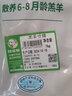 阿牧特 內(nèi)蒙古羊排切塊2斤 羊排骨寸排1000g 生鮮羊肉 1000g（2斤） 曬單實拍圖