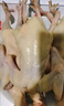 漁吻乳鴿生鮮新鮮宰殺滋補煲湯鴿子肉農家散養(yǎng)土鴿子非老鴿商用批發(fā) 【3只裝】散養(yǎng)乳鴿凈重6-7兩/只 曬單實拍圖