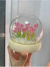金日滿【成品】郁金香花桌面擺件夜燈玻璃罩七夕情人節(jié)生日禮物女友老婆 20朵郁金香+USB插電使用+禮袋 曬單實拍圖