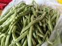 格沃斯【現(xiàn)摘】云南露天四季豆新鮮時令豆蕓豆新鮮蔬菜 5斤【手選優(yōu)質】四季豆 曬單實拍圖