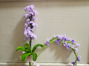 京霽2號膠包綠色花桿仿真花鐵絲扭扭棒手工毛線花diy花束香皂花藝制作 花藝膠帶【深綠+果綠+咖色】 曬單實拍圖