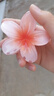 靚做發(fā)夾雞蛋花抓夾盤發(fā)頭飾發(fā)卡花朵鯊魚夾甜美后腦勺抓夾半扎發(fā)夾 2只裝【黃色+天藍(lán)色】 曬單實(shí)拍圖