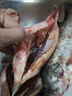 甄樽全自動(dòng)殺魚(yú)機商用不銹鋼電動(dòng)開(kāi)魚(yú)背開(kāi)魚(yú)肚去鱗機殺清江魚(yú)黑魚(yú)鱸魚(yú)花鰱羅非魚(yú)烤魚(yú)店用 工程款去鱗開(kāi)背【2-8斤可用】 曬單實(shí)拍圖