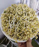 康麗控溫豆芽機(jī)家用全自動智能多功能發(fā)芽豆牙盆神器桶自制生綠豆芽罐 三層 曬單實(shí)拍圖