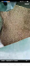 廠家直銷 豆粕100斤豆餅獸用碎喂雞適用雞鴨鵝豬馬牛羊兔飼料釣魚 今日特價100斤【AAA級】 曬單實拍圖