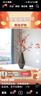 瑞家禾 現(xiàn)代創(chuàng)意輕奢花瓶擺件客廳玄關(guān)桌面插干花電視柜餐桌家居裝飾品 大號花瓶+紅紅火火 曬單實拍圖